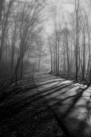 BW 1 BW 1