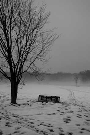 BW 6 BW 6