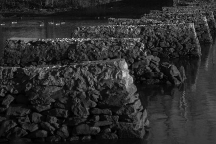 BW 10 BW 10
