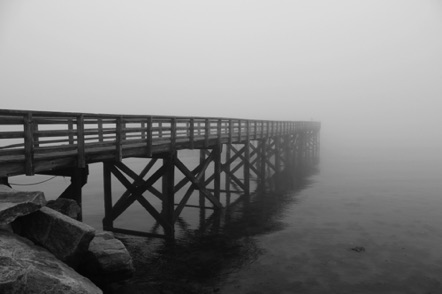 BW 12 BW 12