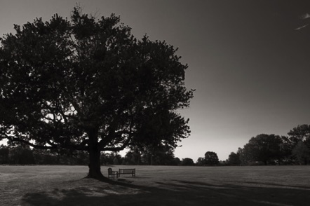 BW 16 BW 16