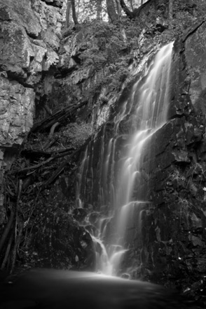BW 24 BW 24