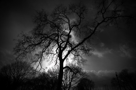 BW 27 BW 27
