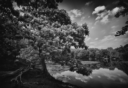 BW 47 BW 47