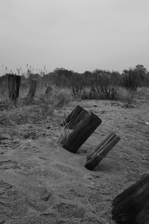 BW 48 BW 48