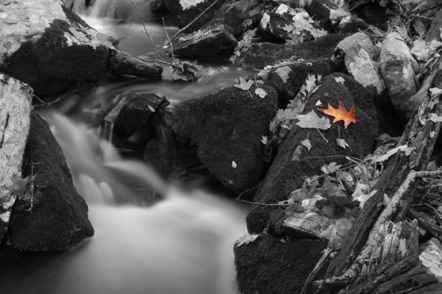BW 52 BW 52