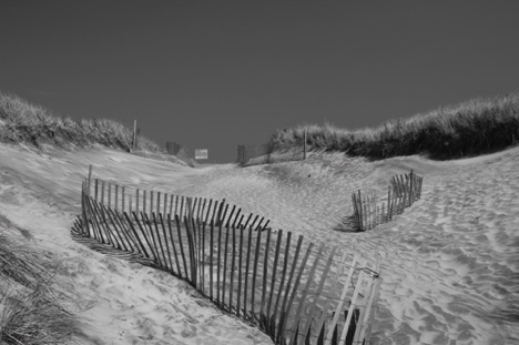 Landscape 1 Landscape 1