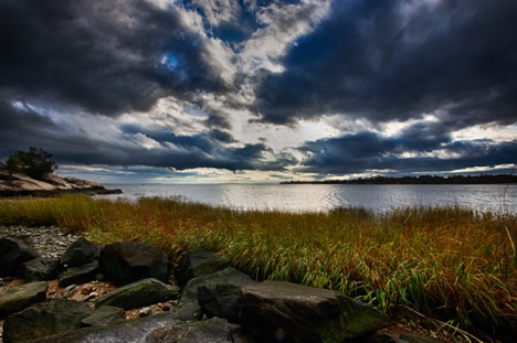Landscape 27 Landscape 27