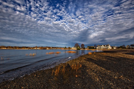 Landscape 40 Landscape 40