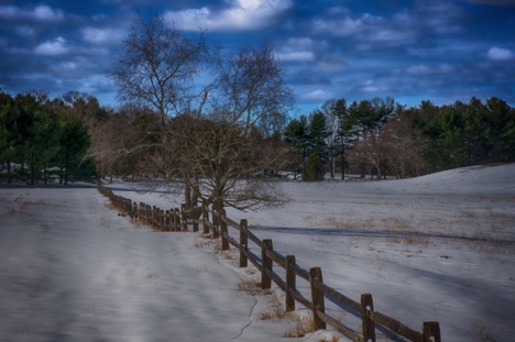 Landscape 49 Landscape 49