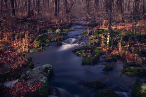 Landscape 51 Landscape 51