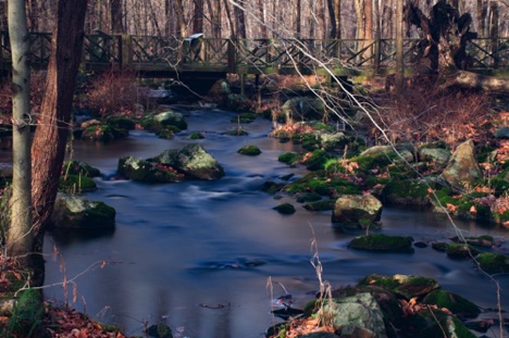 Landscape 52 Landscape 52
