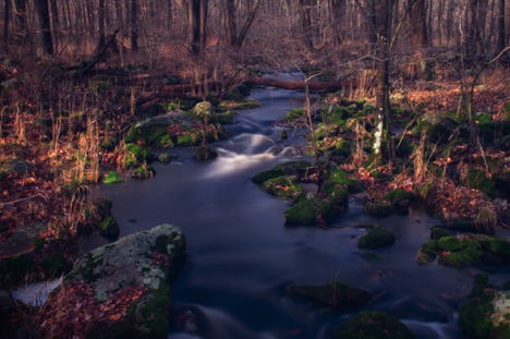 Landscape 23 Landscape 23