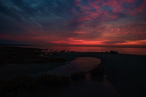 Landscape 55 Landscape 55