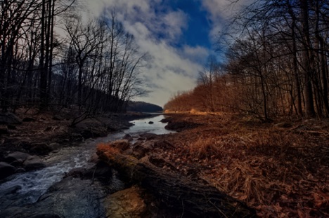 Landscape 60 Landscape 60