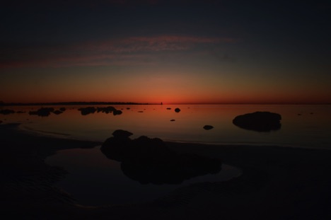 Landscape 66 Landscape 66