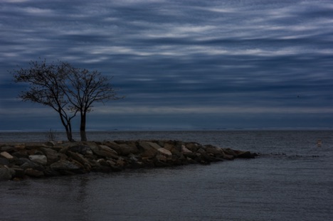 Landscape 69 Landscape 69