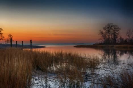 Landscape 71 Landscape 71