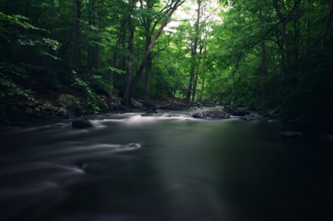 Landscape 79 Landscape 79