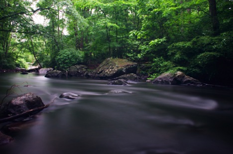 Landscape 80 Landscape 80
