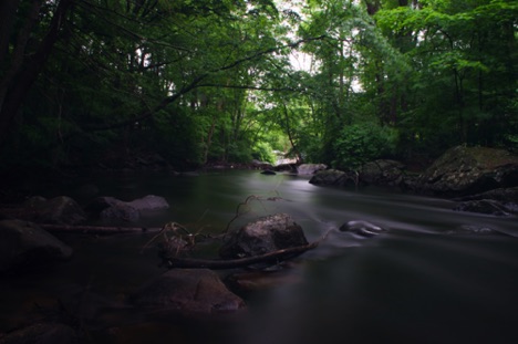 Landscape 81 Landscape 81