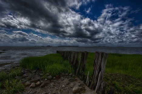 Landscape 87 Landscape 87