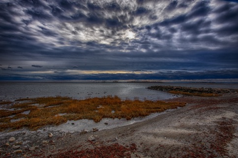 Landscape 109 Landscape 109