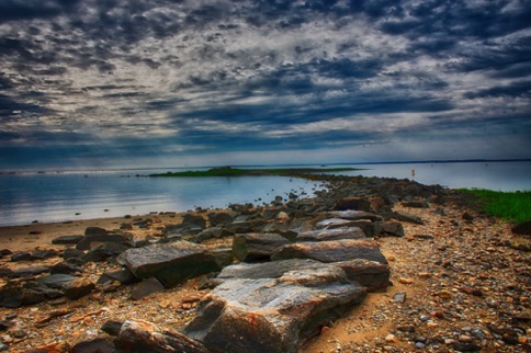 Landscape 116 Landscape 116