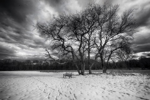 Landscape 121 Landscape 121