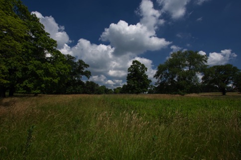 Landscape 126 Landscape 126