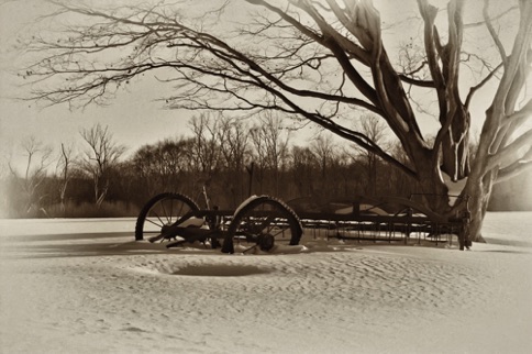 Landscape 203 Landscape 203