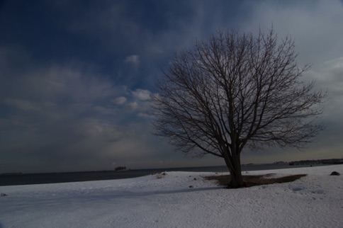 Landscape 204 Landscape 204