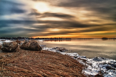 Landscape 206 Landscape 206
