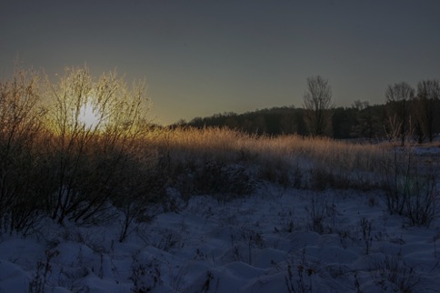 Landscape 211 Landscape 211