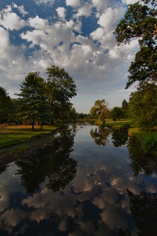 Landscape 217 Landscape 217