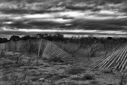Landscape 219 Landscape 219