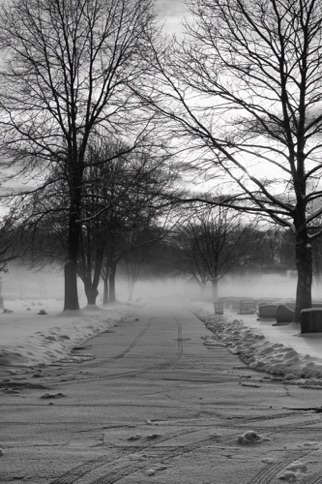Landscape 229 Landscape 229