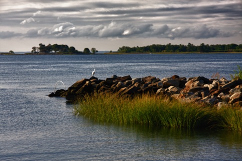 Landscape 237 Landscape 237