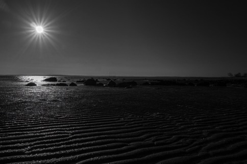 Landscape 245 Landscape 245