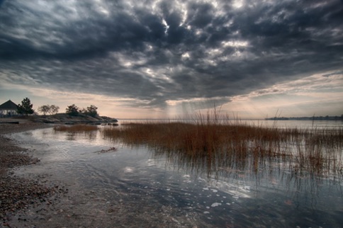 Landscape 253 Landscape 253