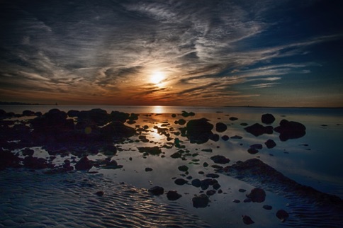 Landscape 257 Landscape 257
